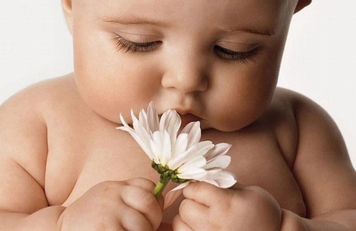 Малыш с цветком в руках
